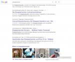 klopapierhamster.de-googlesuche.jpg klopapierhamster.de-googlesuche.jpg