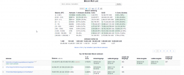 2020-11-27 11_08_14-Top 100 Reichsten Bitcoin Adressen und Bitcoin verteilung und 4 weitere Se...png