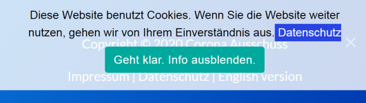 Opera Momentaufnahme_2021-01-23_210936_corona-ausschuss.de.png