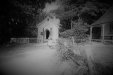 DSH00164a.jpg