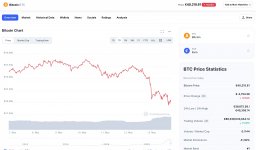 btc1.jpg