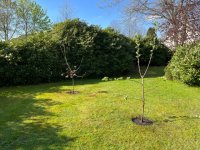 IMG_9137.jpg IMG_9137.jpg