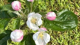 053D7BE1-3891-40EE-8136-124BA231ECB9.JPG 053D7BE1-3891-40EE-8136-124BA231ECB9.JPG