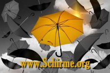 schirme.org.jpg