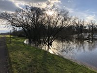 IMG_2603.jpeg