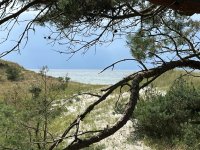 zingst.jpg