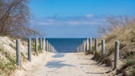 istockphoto-1483028353-612x612.jpg