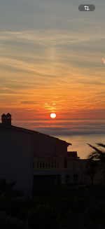 IMG_0848.png IMG_0848.png