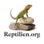 reptilien.org.png