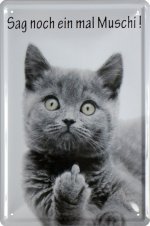 Katze-Muschi.jpg