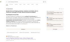 flugreisen.net-bing.com.jpg