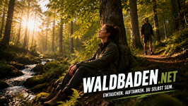 Domain-Waldbaden.net.png